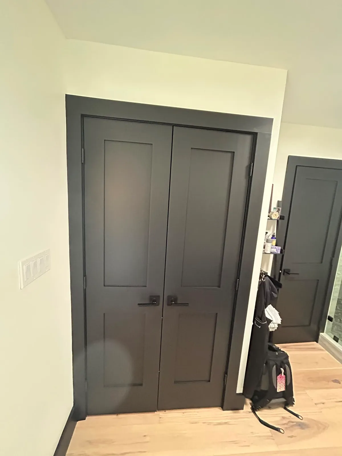 Spray-finished black double closet doors