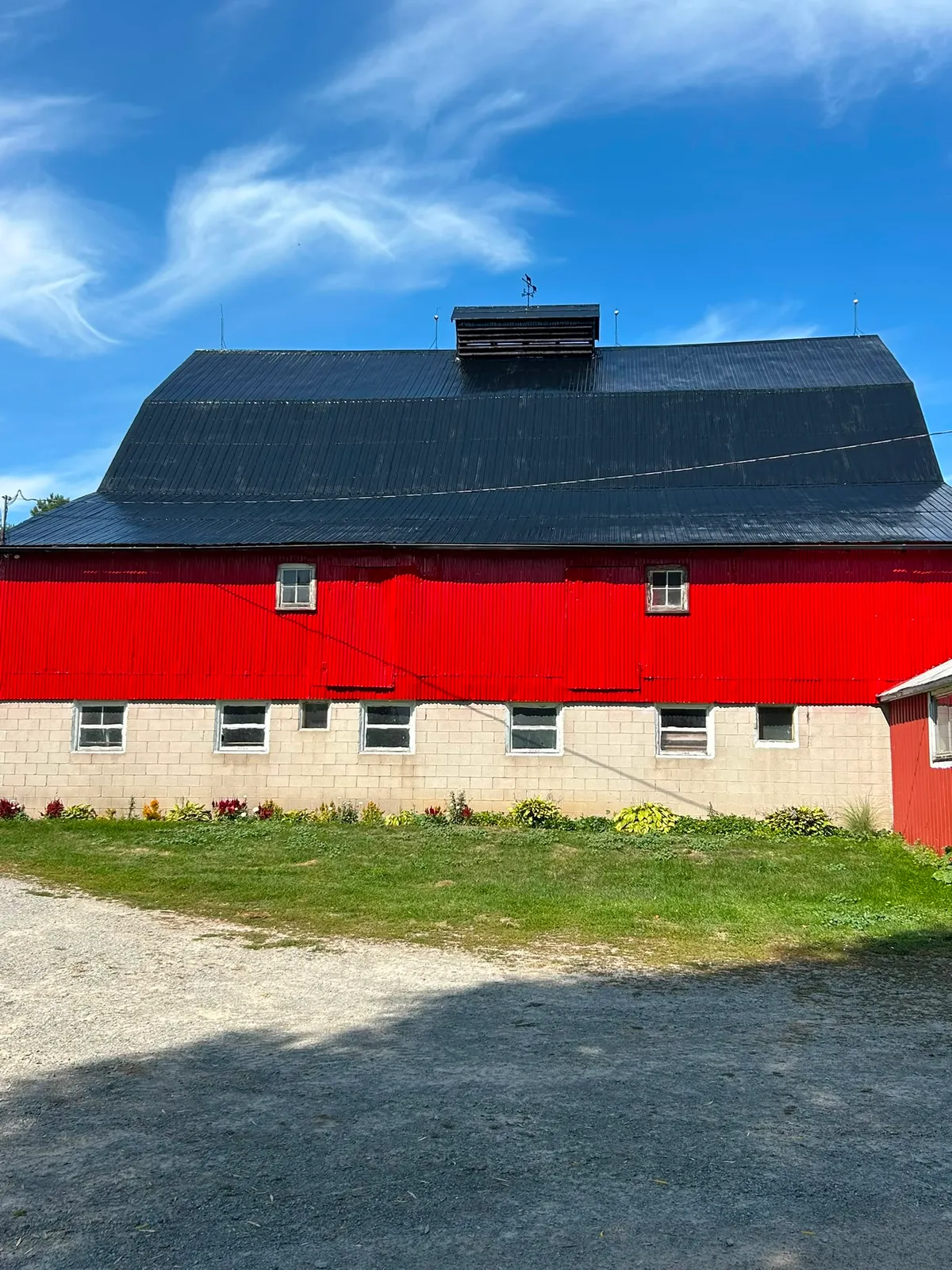 Bright red barn with a freshly painted black metal roof in Lanark County